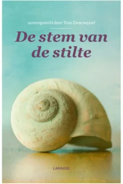 De stem van de stilte eBook