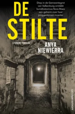 De stilte eBook
