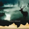 De Veluwe eBook