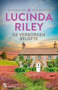 De verborgen belofte eBook