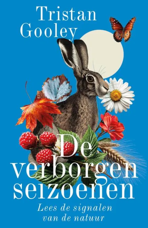 De verborgen seizoenen eBook