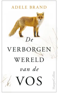 De verborgen wereld van de vos eBook