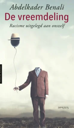 De vreemdeling eBook