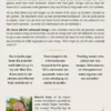 De vrouw die het universum droeg eBook
