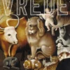 De weg van vrede eBook