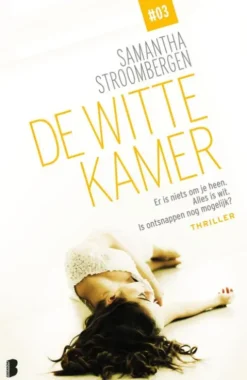 De witte kamer eBook