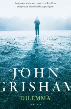 Dilemma eBook
