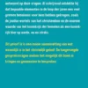 Dit geloof ik eBook