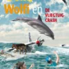 Dolfi, Wolfi en de vliegtuigcrash eBook