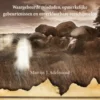Drenthe eBook