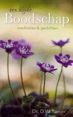 Een blijde boodschap eBook