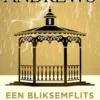 Een bliksemflits eBook