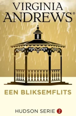 Een bliksemflits eBook