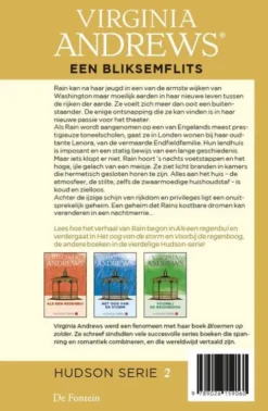 Een bliksemflits eBook