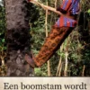 Een boomstam wordt geen krokodil eBook