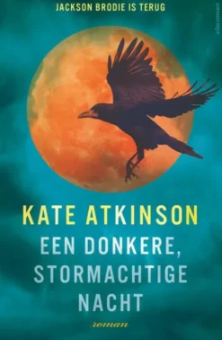 Een donkere, stormachtige nacht eBook