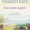 Een handvol geluk eBook
