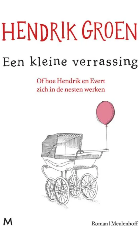 Een kleine verrassing eBook
