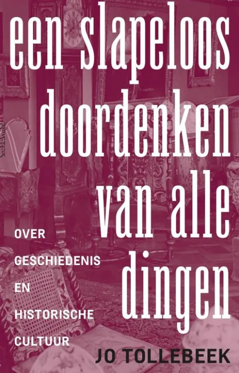 Een slapeloos doordenken van alle dingen eBook