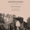 Een vast vertrouwen eBook