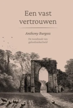 Een vast vertrouwen eBook