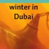 Een warme winter in Dubai eBook