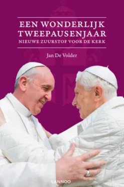 Een wonderbaarlijk tweepausenjaar eBook
