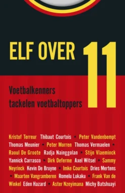 Elf over 11 eBook