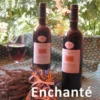 Enchante eBook