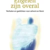Engelen zijn overal eBook