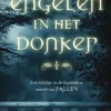 Fallen - Engelen in het donker eBook