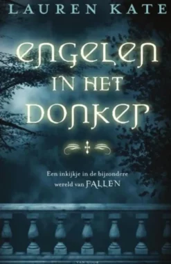 Fallen - Engelen in het donker eBook