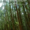 Feeding the world Sustaining the planet eBook