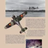 Fokker D.21 eBook