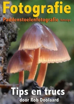 Fotografie: paddenstoelenfotografie fototips eBook