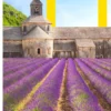 Frankrijk eBook