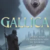 Gallica 3 - De Kinderen van de Weduwe eBook