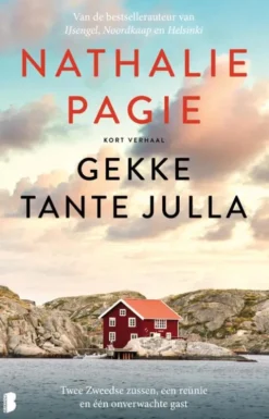 Gekke tante Julla eBook