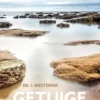 Getuige zijn eBook