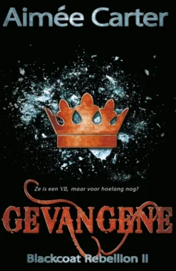Gevangene eBook