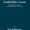Goddelijke troost eBook