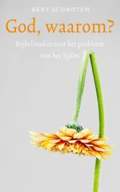 God, waarom? eBook