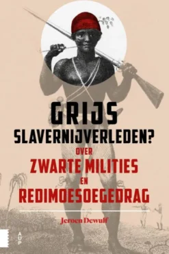 Grijs slavernijverleden? eBook