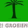 Groeien als een palm eBook