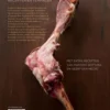 Ham eBook