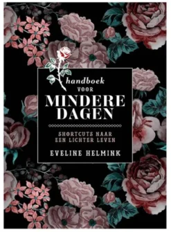 Handboek voor mindere dagen eBook