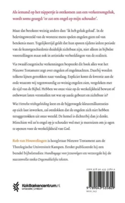 Hemelse reisbegeleiding eBook