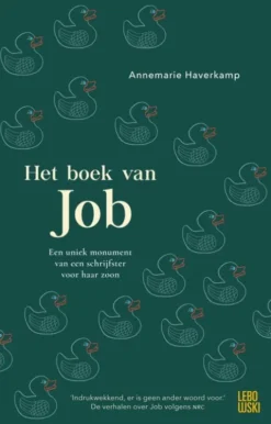 Het boek van Job eBook