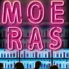 Het Brusselse moeras eBook