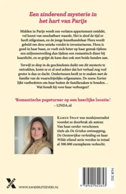Het Franse geheim eBook